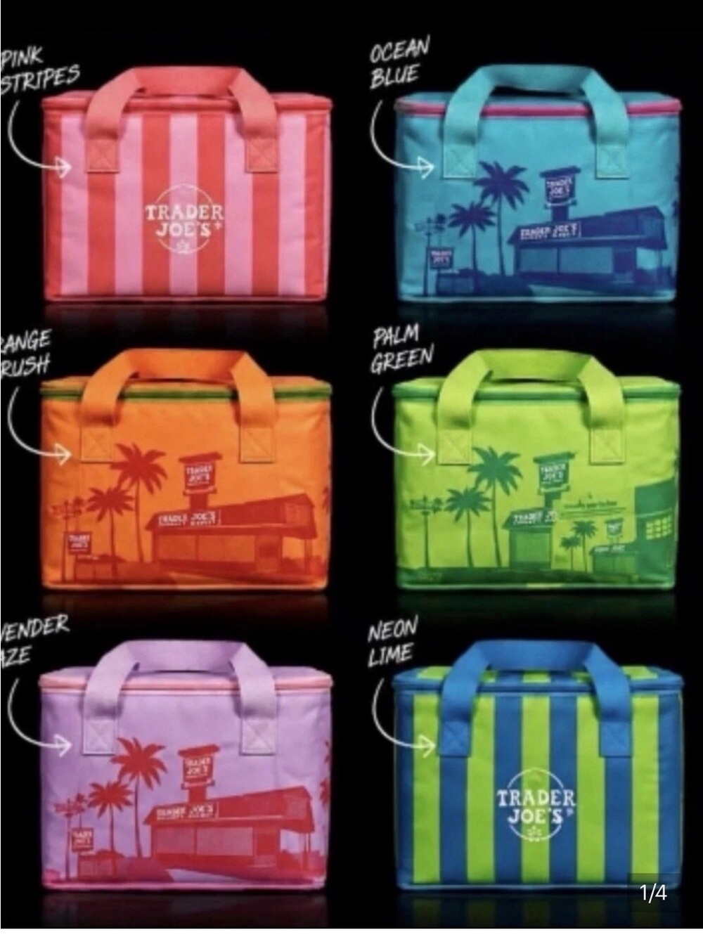 Set of 6 Trader Joe’s Summer Insulated Cooler Bag